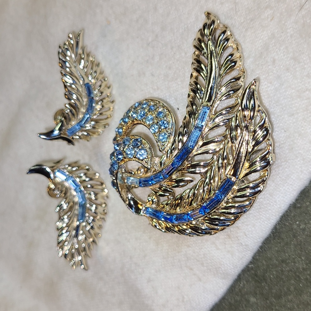 Beautiful Brooch and Matching Earrings